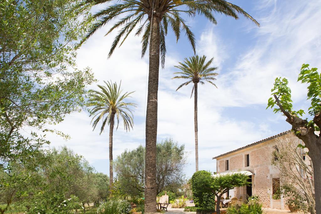 Agroturismo Es Pla De Llodrá Manacor  Esterno foto